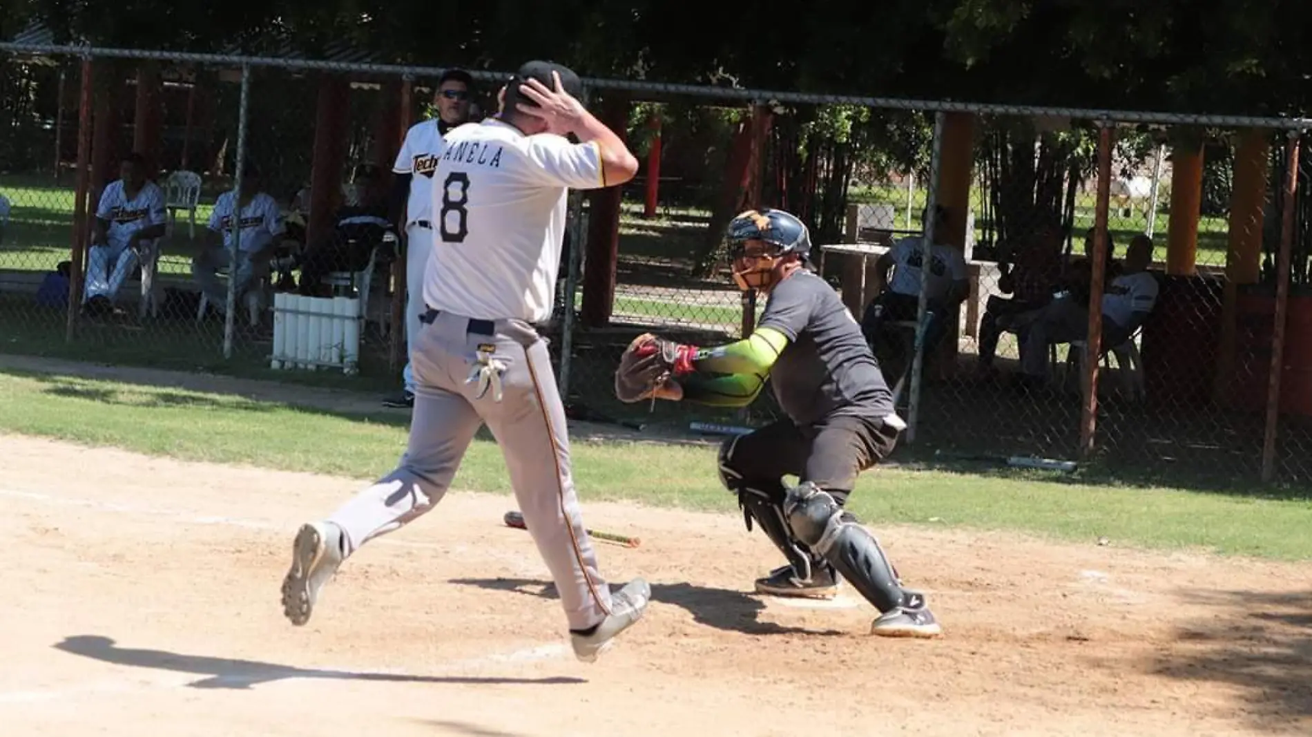 softbol-sinaloa 